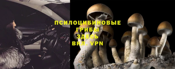 гашиш Пересвет