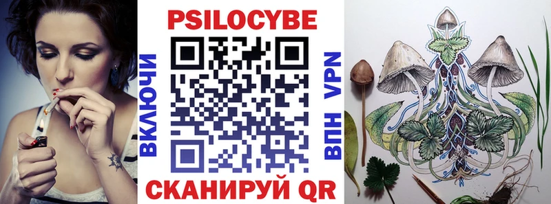 Галлюциногенные грибы Psilocybe  Купить закладки  Цоци-Юрт 